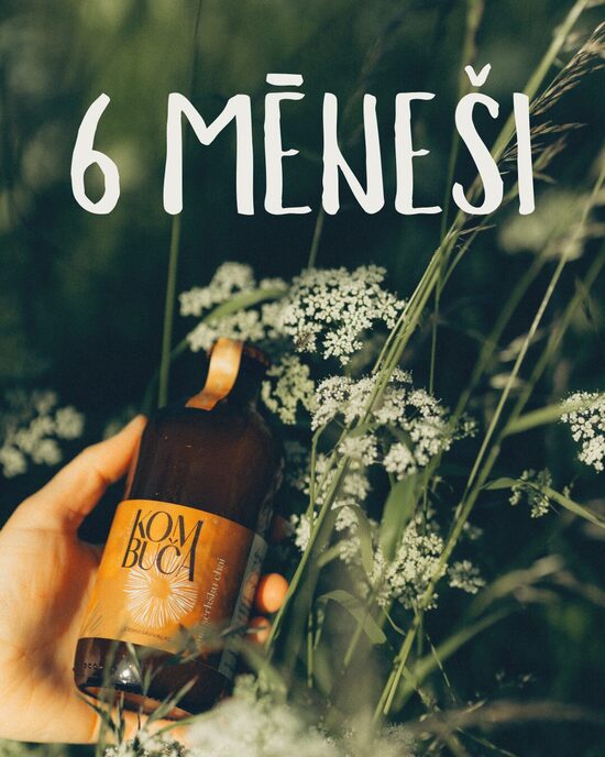 ABONEMENTS 2026 (6 mēneši)